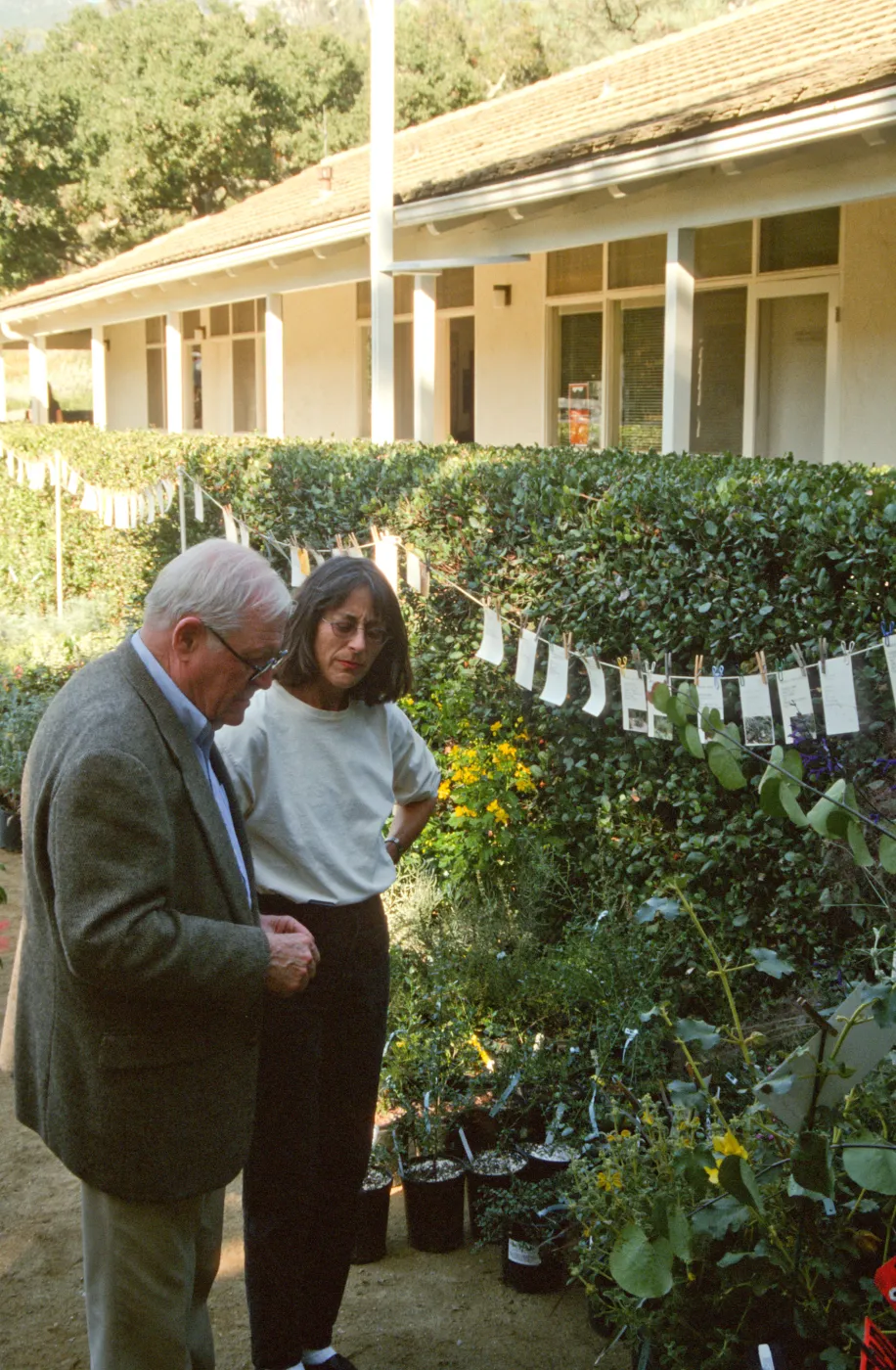 Fall Plant Sale