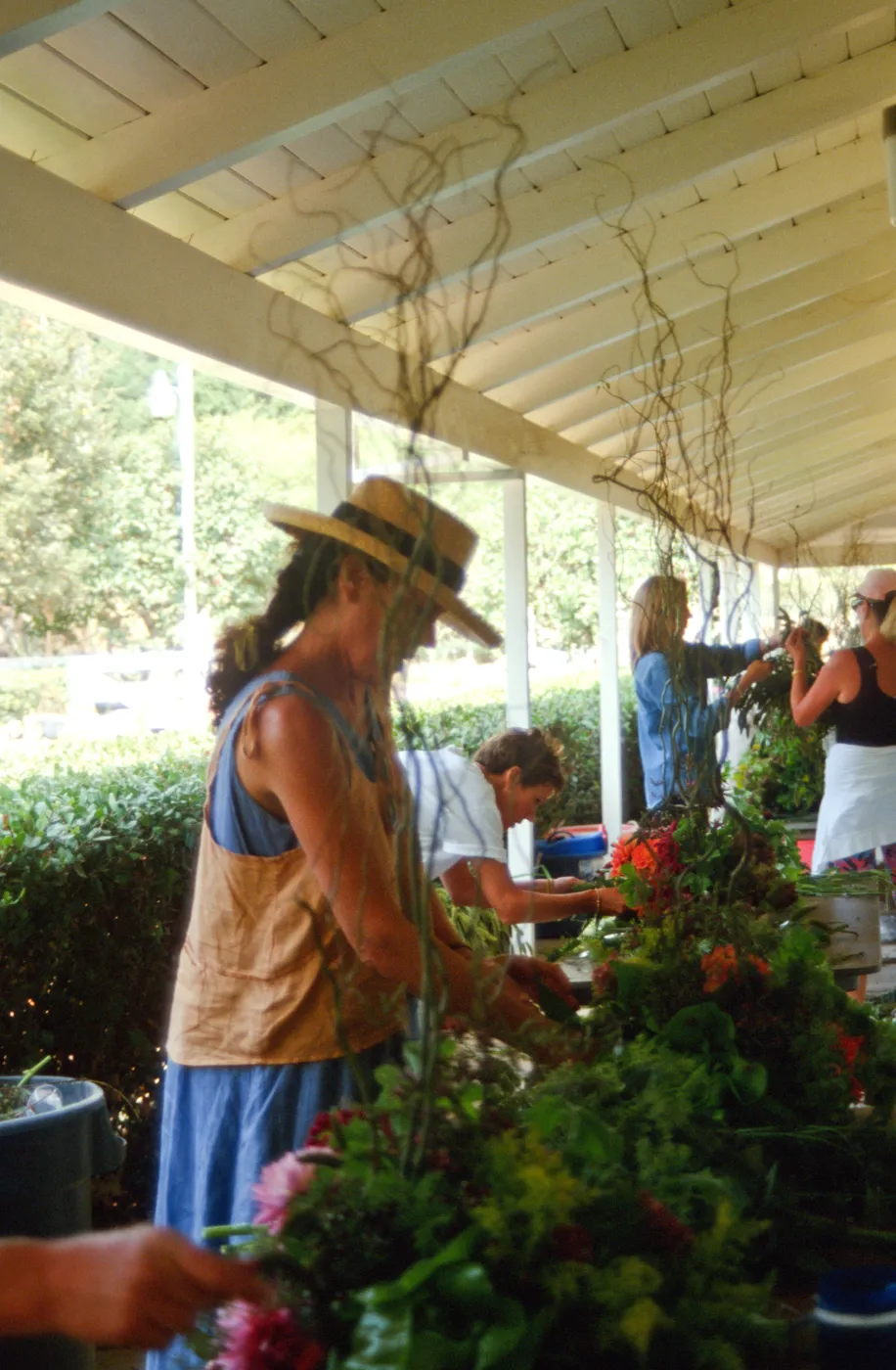 Fall Plant Sale