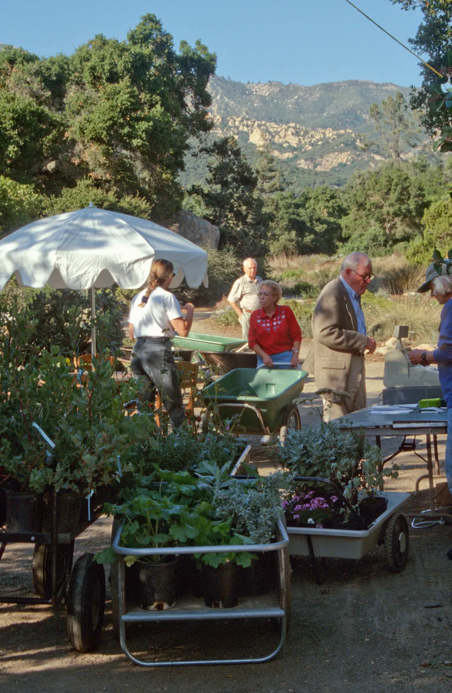 Fall Plant Sale