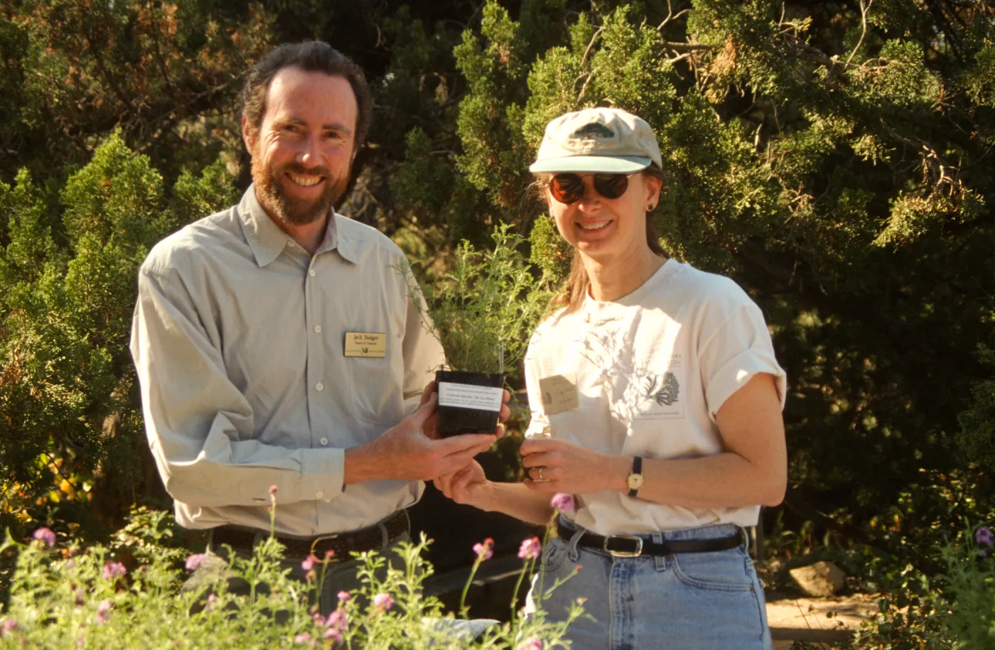 Fall Plant Sale