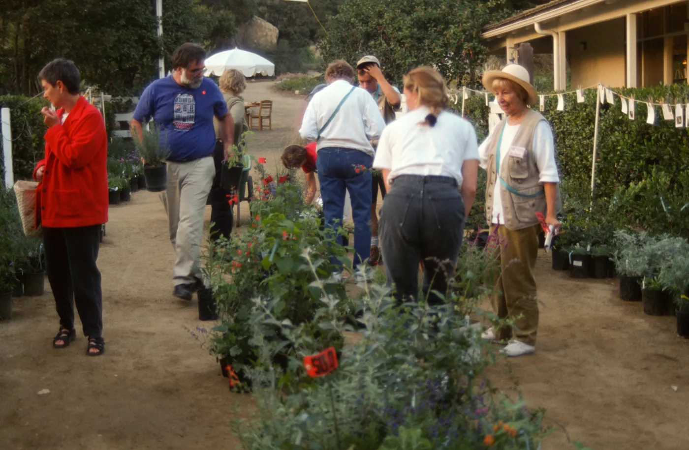 Fall Plant Sale