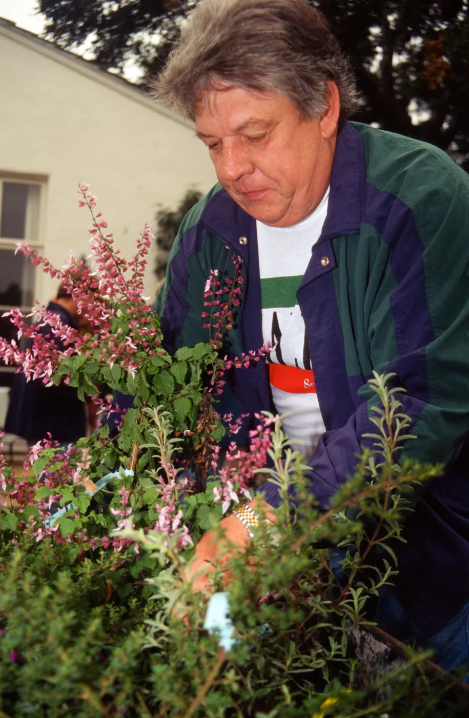 Fall Plant Sale