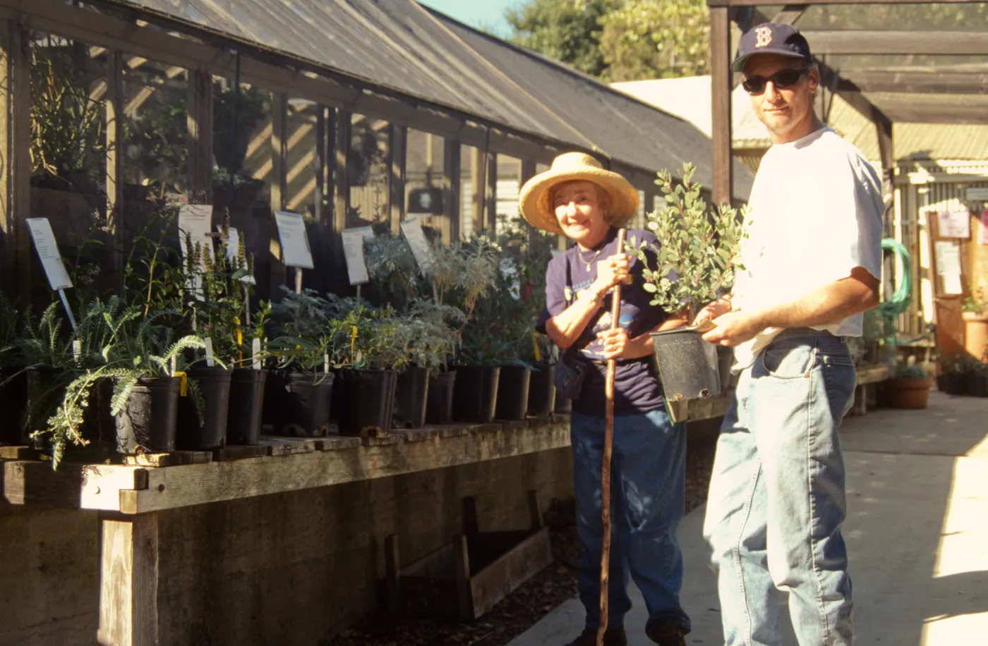 Fall Plant Sale