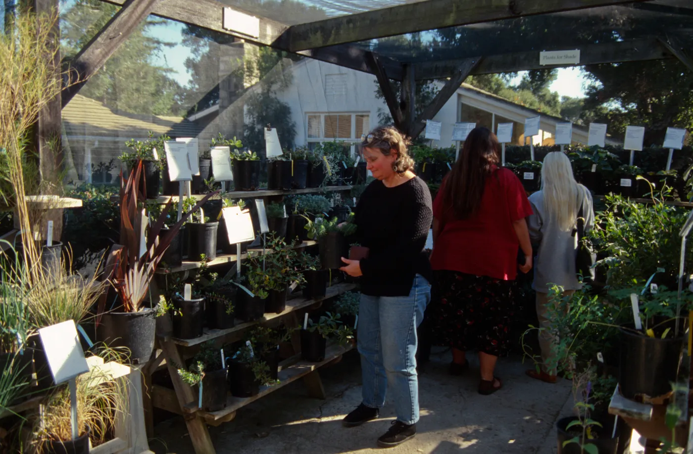 Fall Plant Sale