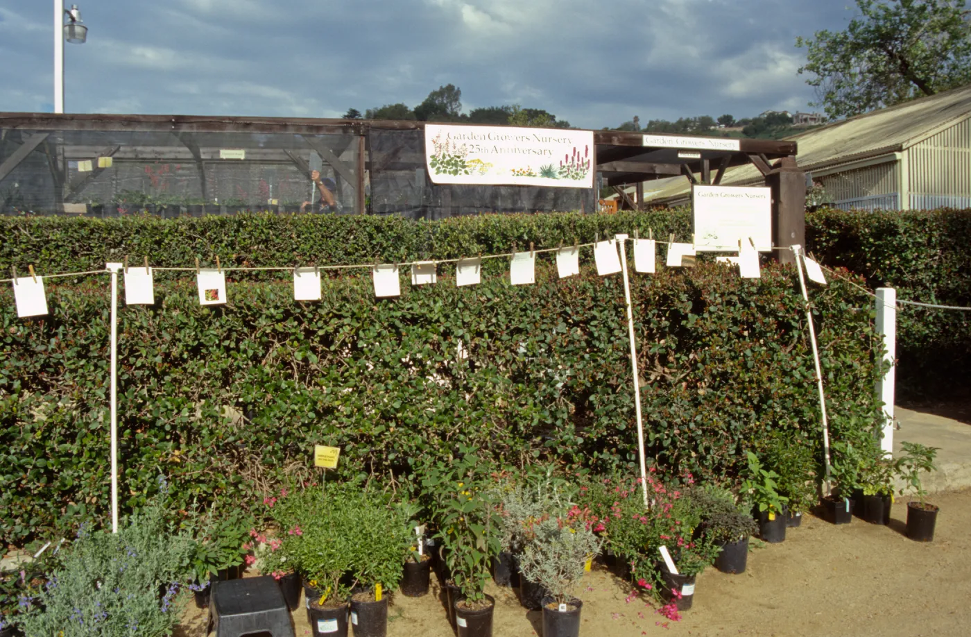 Spring Plant Sale 1999