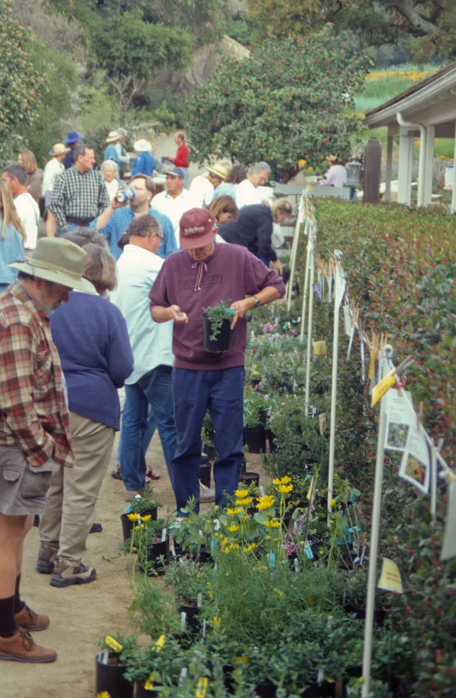 Spring Plant Sale 1999