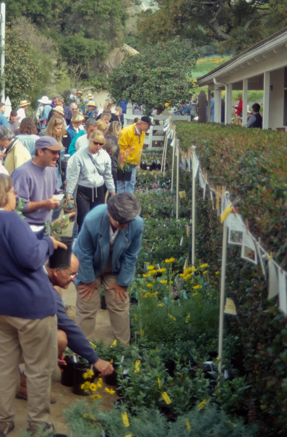 Spring Plant Sale 1999