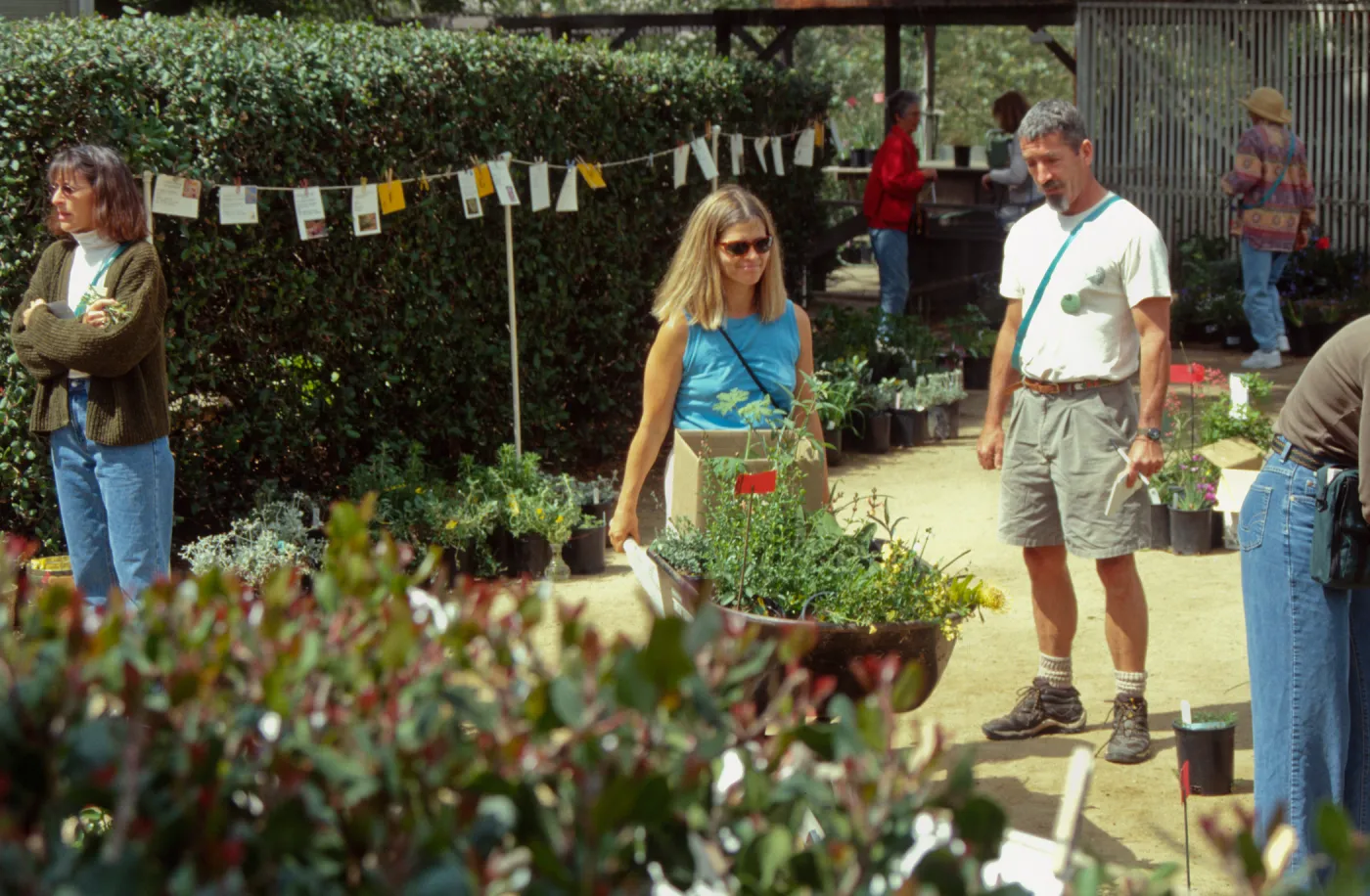 Spring Plant Sale 1999