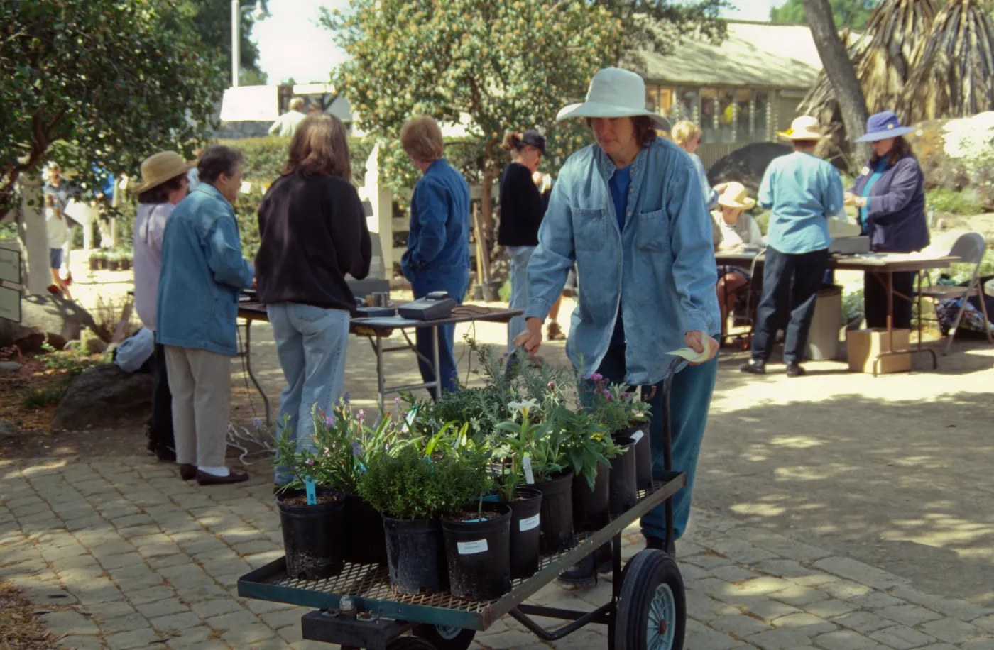 Spring Plant Sale 1999