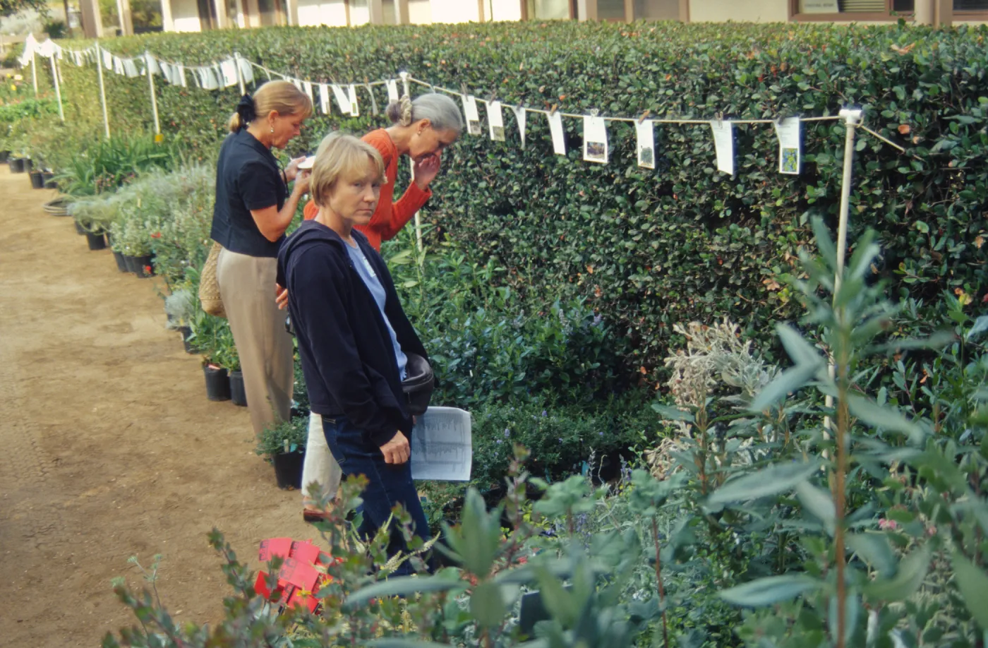 Fall Plant Sale Presale