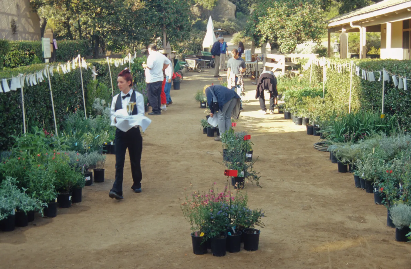 Fall Plant Sale Presale
