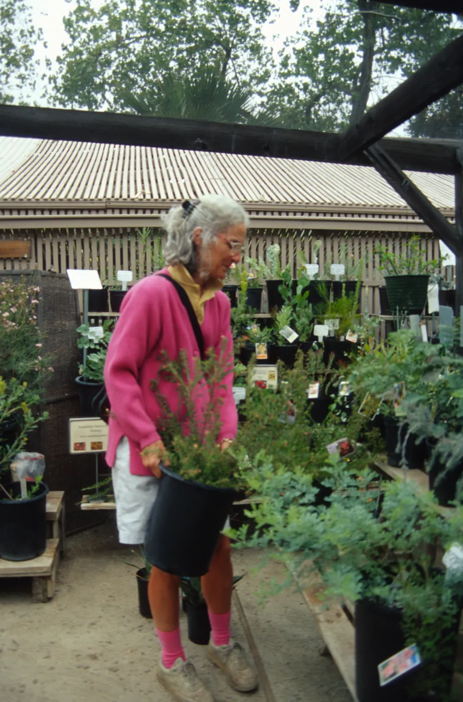 Fall Plant Sale