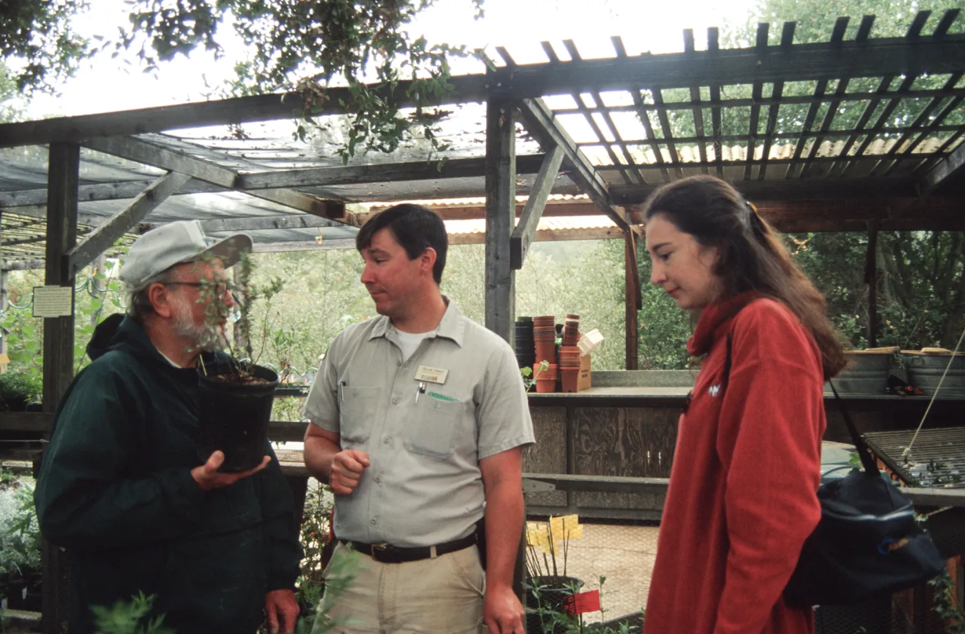 Fall Plant Sale
