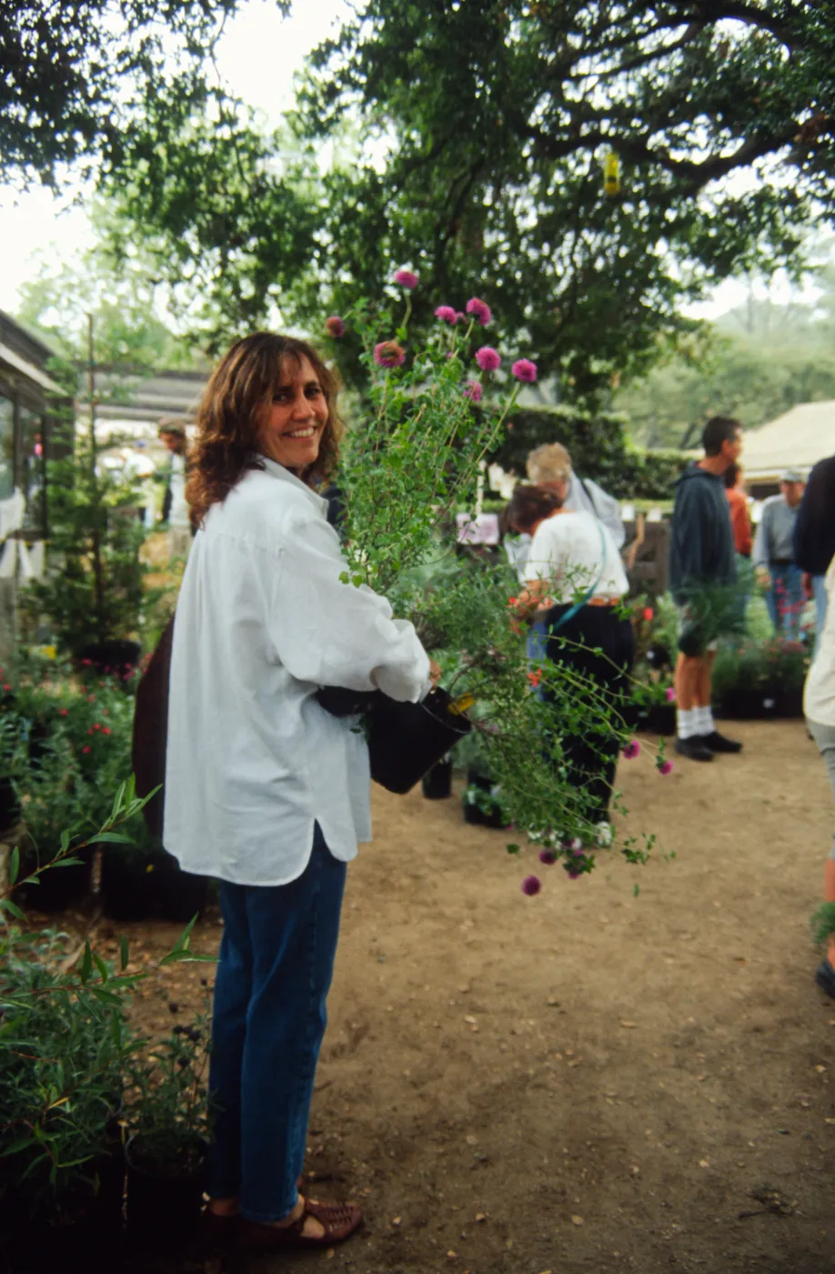Fall Plant Sale