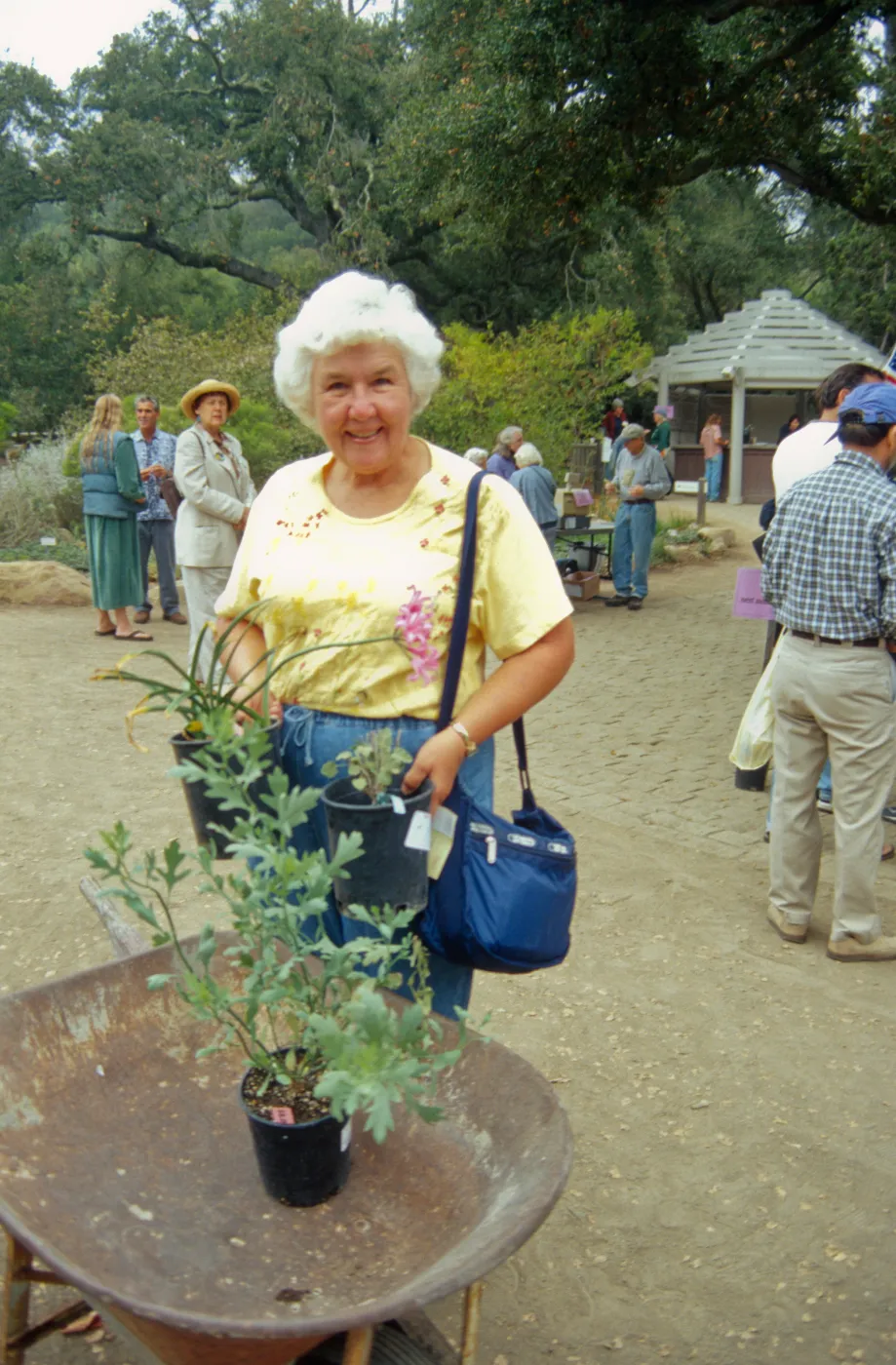 Fall Plant Sale