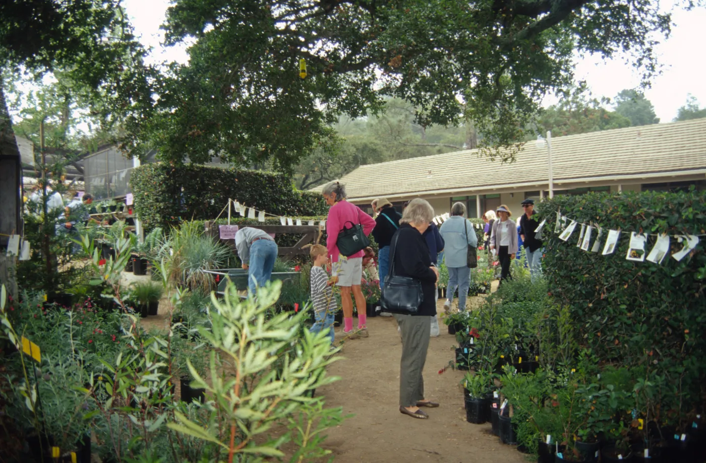 Fall Plant Sale