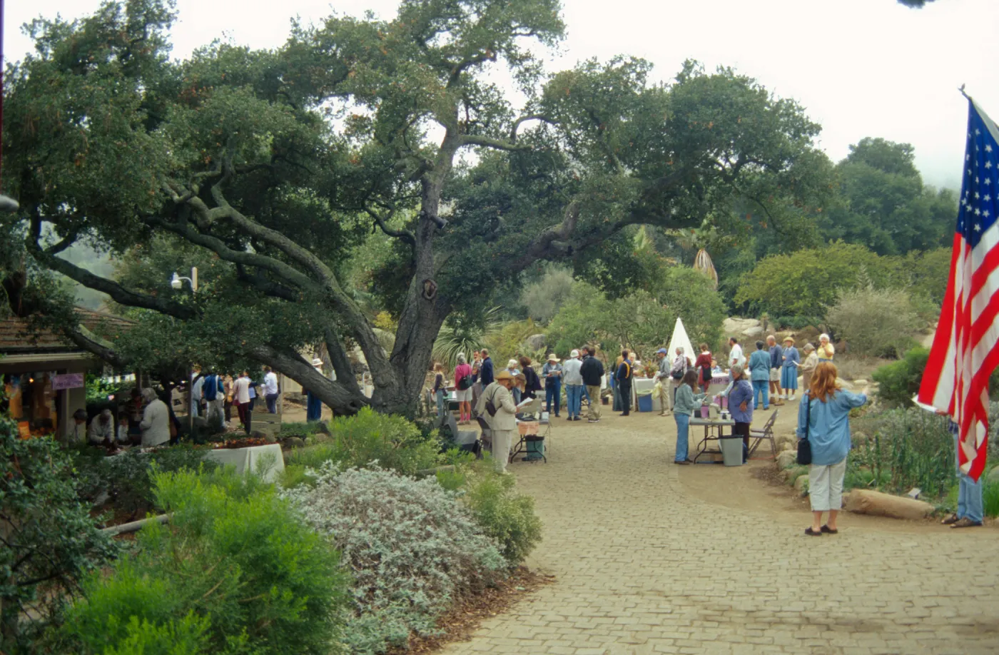 Fall Plant Sale