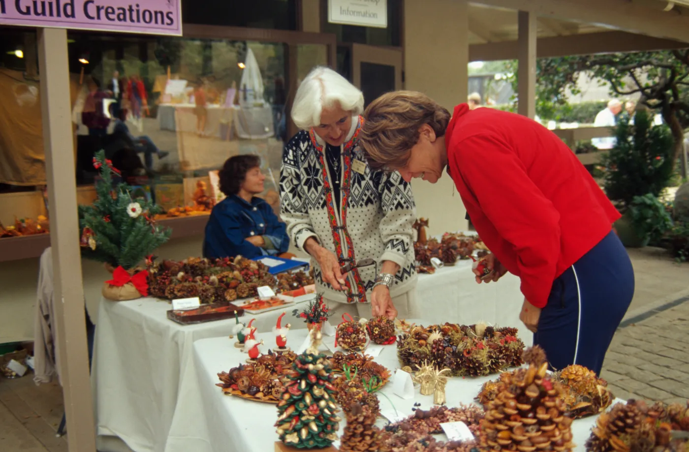 Fall Plant Sale