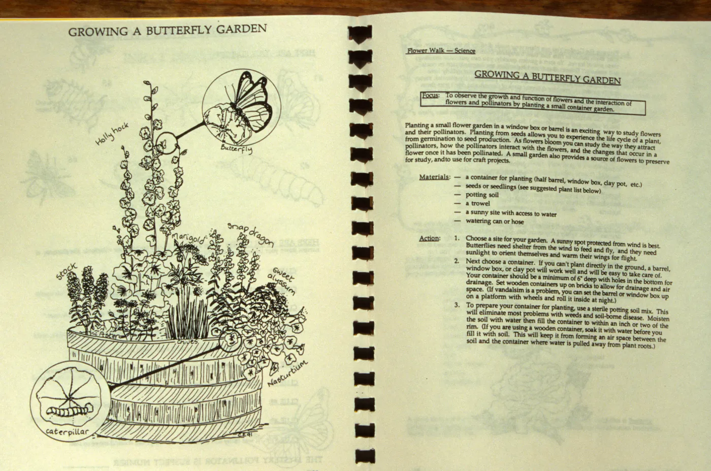 Strybing Arboretum Publication