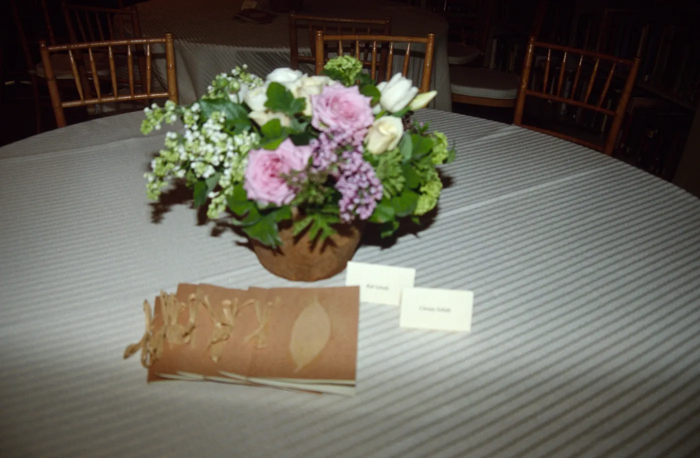 Development Dinner