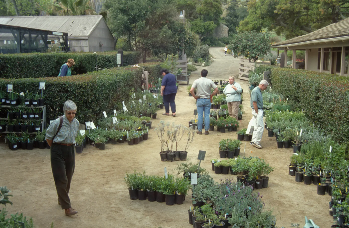 Plant Sale