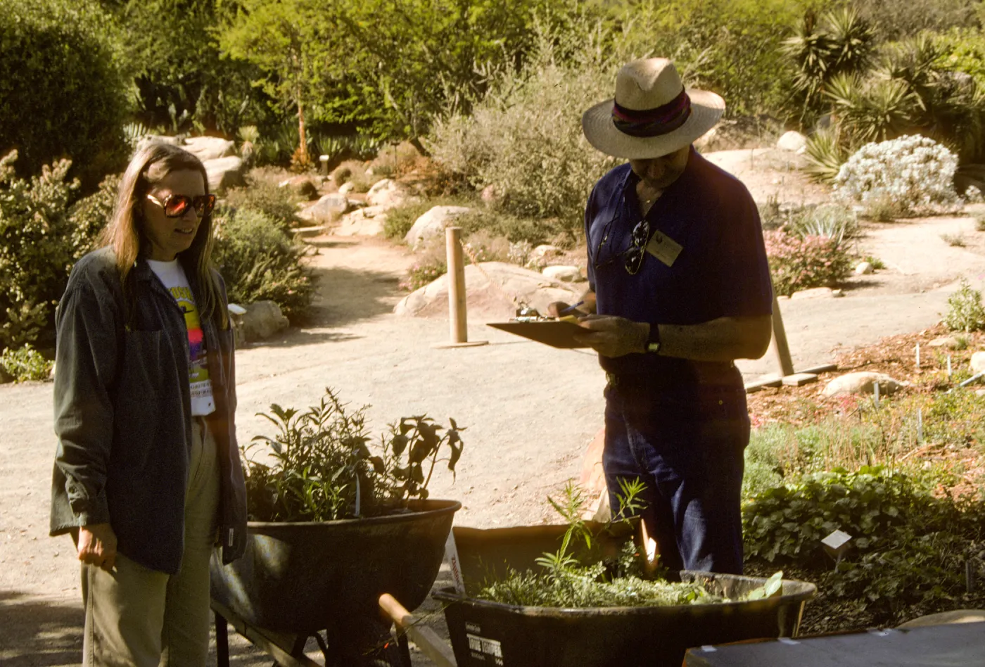 Fall Plant Sale