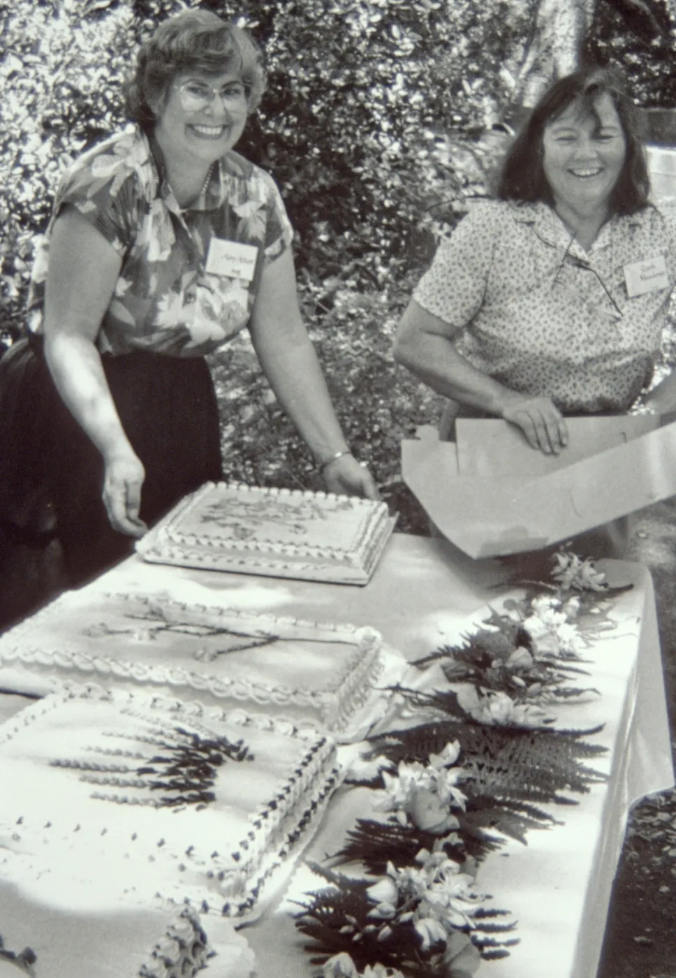 cake table, Members Picnic, under the Meadow Oaks, 1987, Mary Allcott