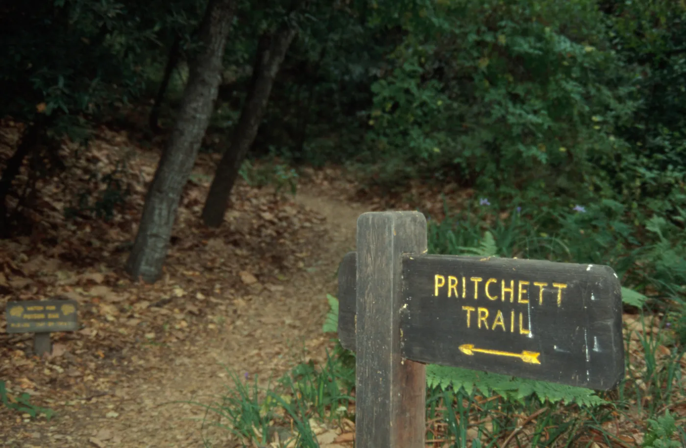 Pritchett Trail Sign