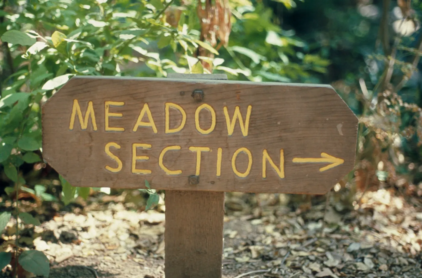 signage