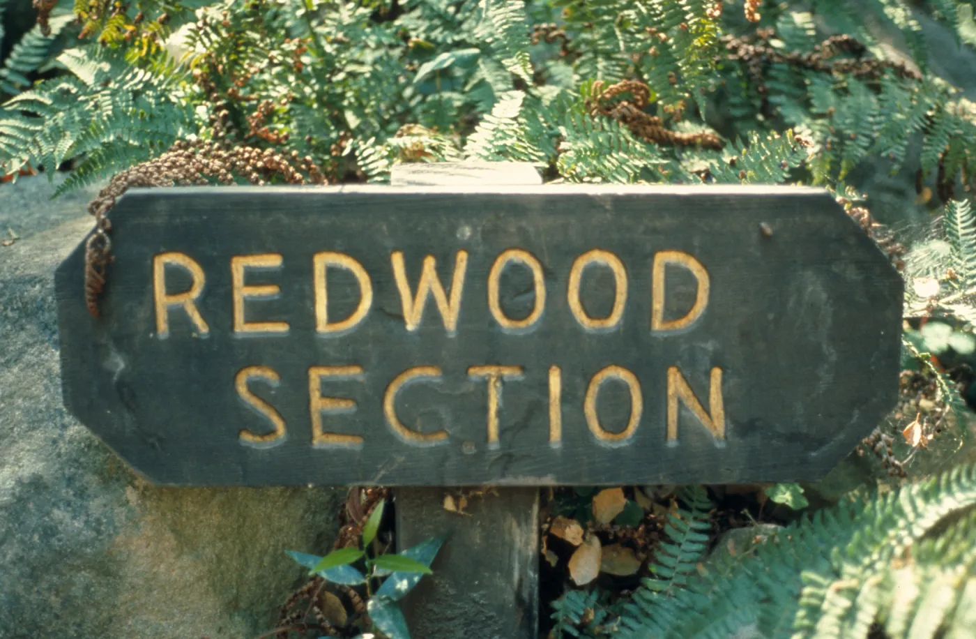 signage