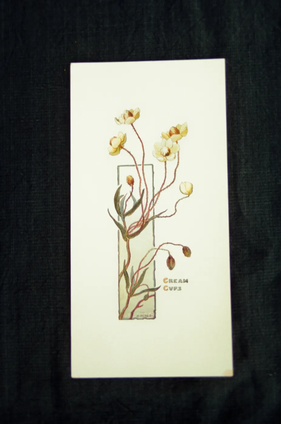 Cream Cups artwork, original watercolor drawing by Elizabeth Hallowell Saunders