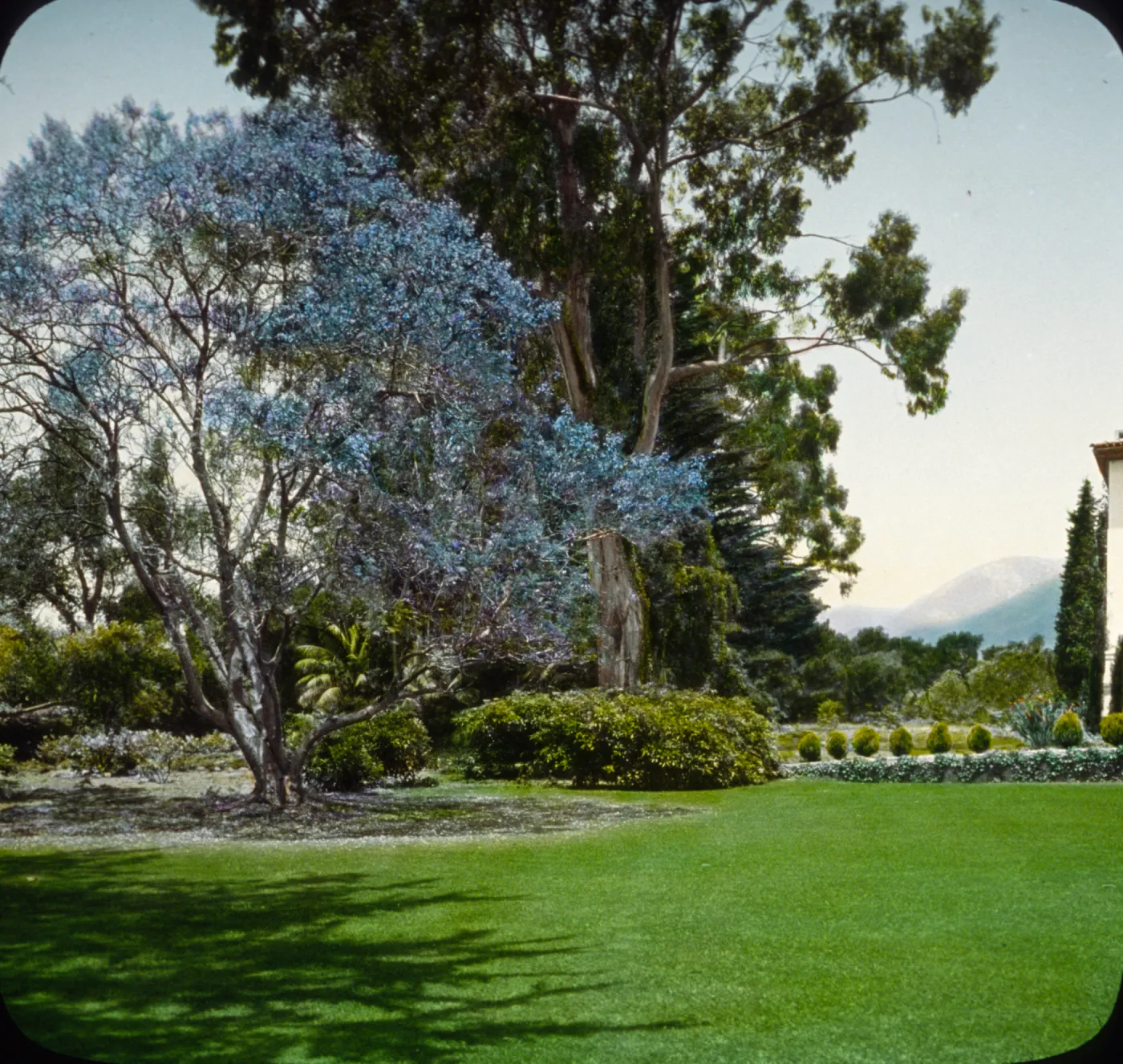 Santa Barbara Gardens of the Past - Far Afield