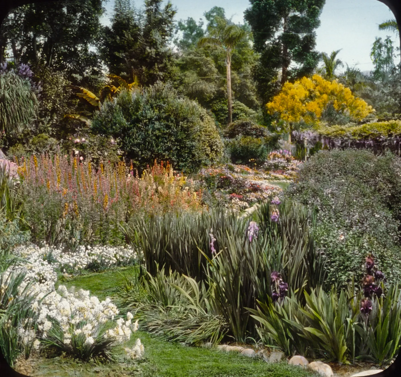 Santa Barbara Gardens of the Past - Coe Garden