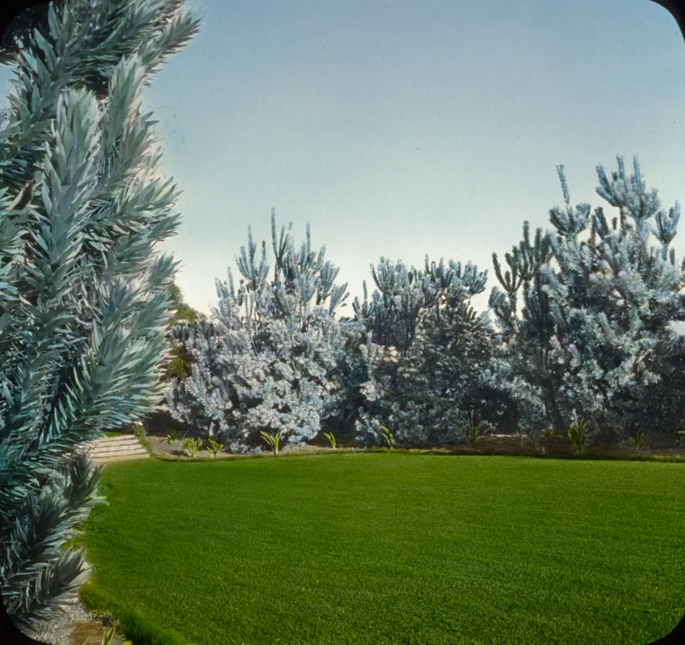 Santa Barbara Gardens of the Past - Dickenson Garden