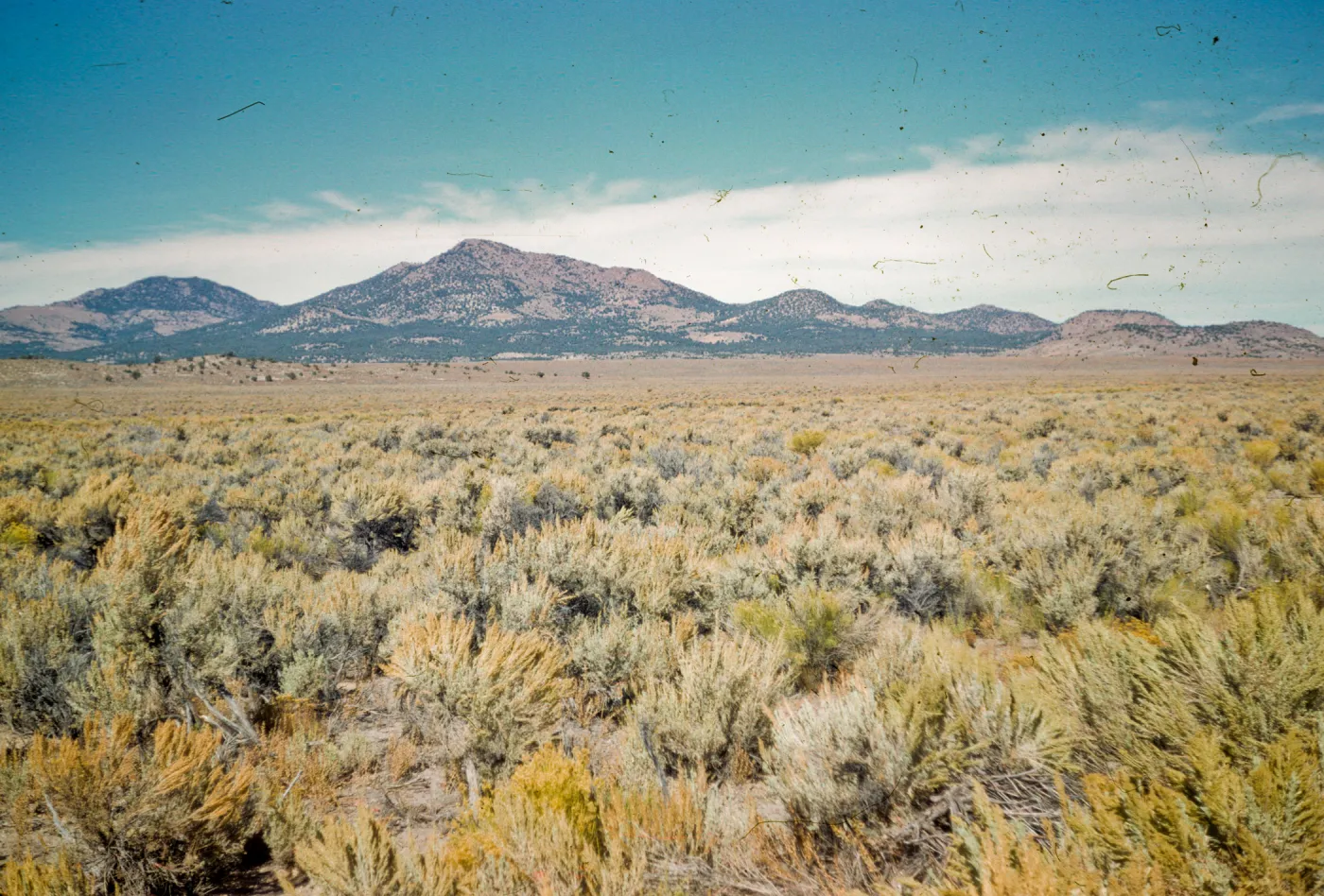 Sagebrush desert, Elko, Nevada