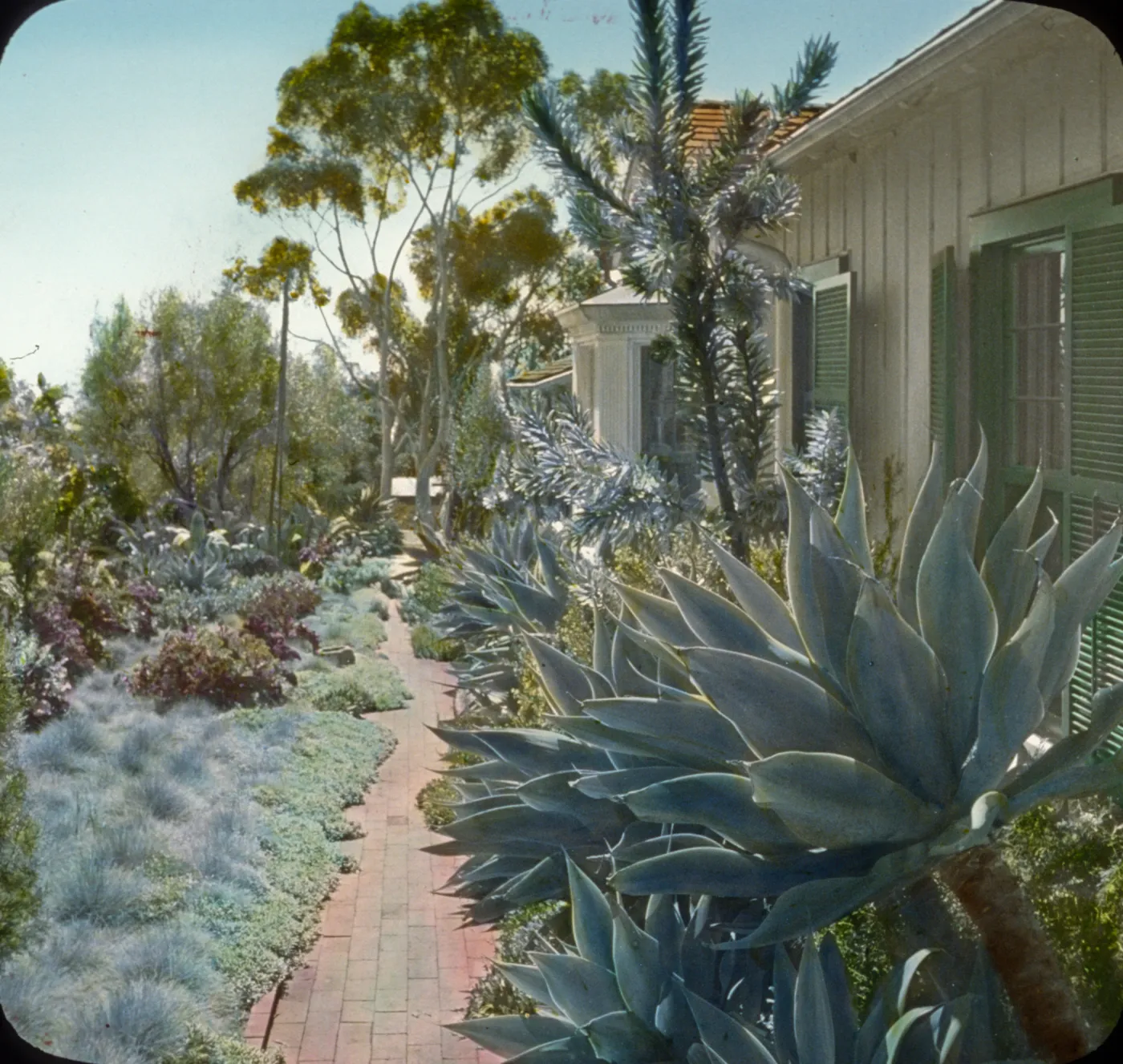 Santa Barbara Gardens of the Past - Fithian Garden (Century Plant)