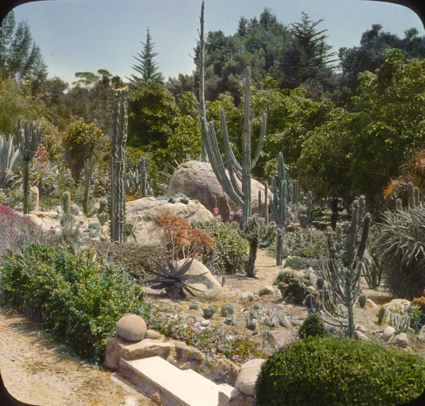 Santa Barbara Gardens of the Past - Garvin Garden