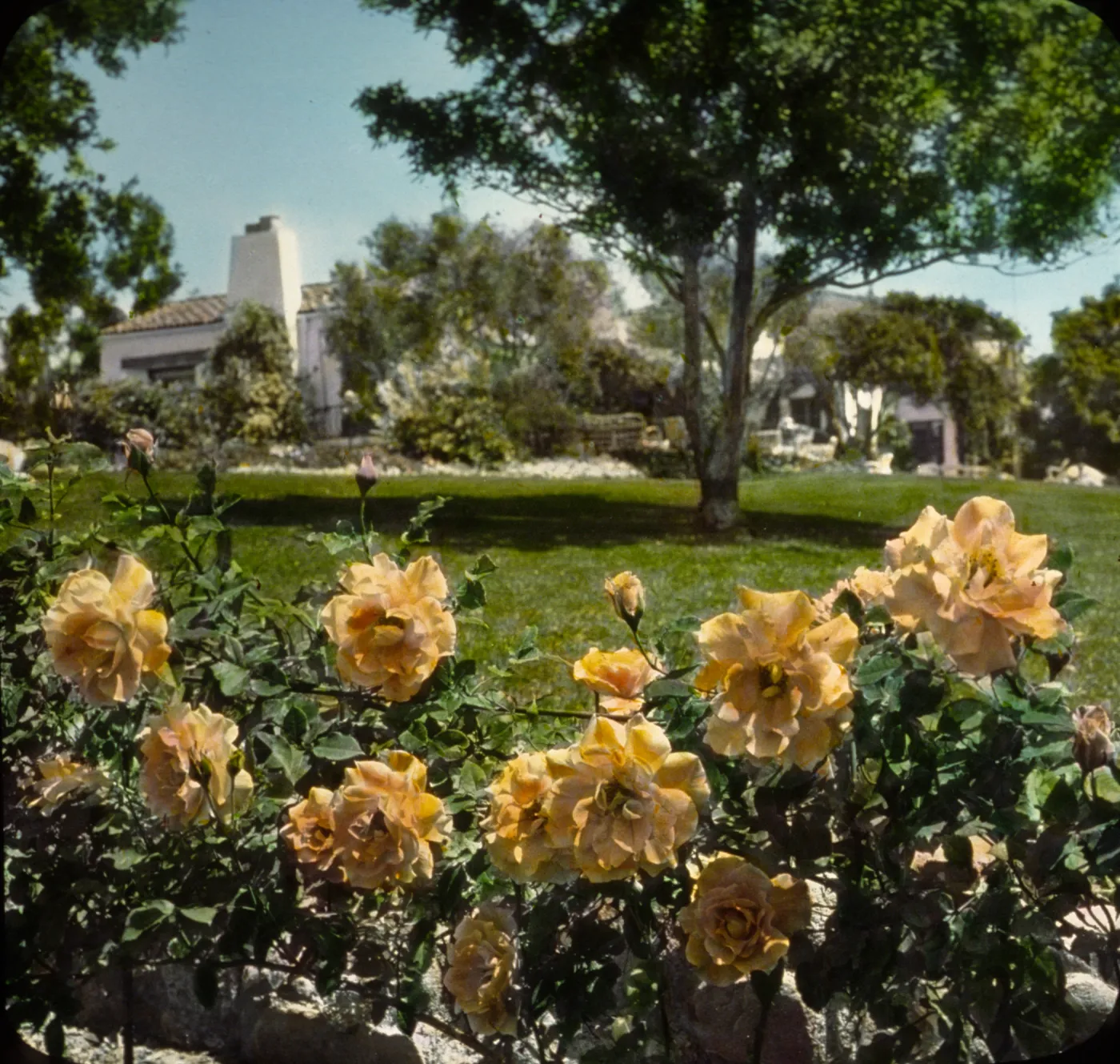 Santa Barbara Gardens of the Past - Mission Ridge