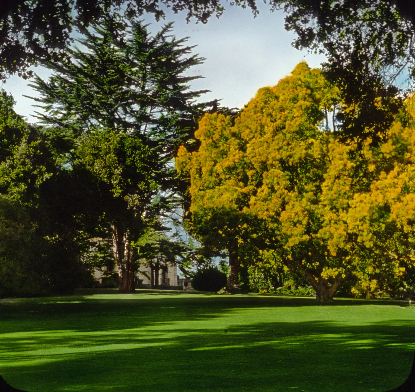 Santa Barbara Gardens of the Past - La Toscana