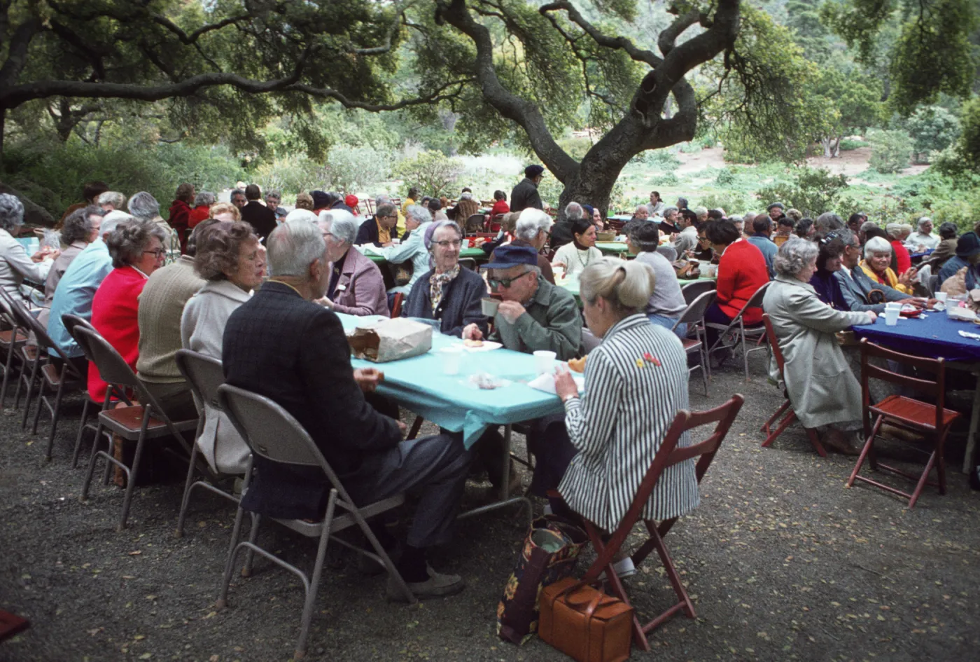 Members Day Picnic -1975