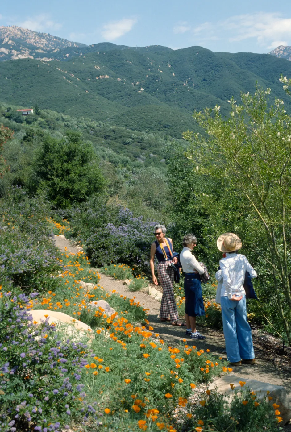 People on trail mountains in the background