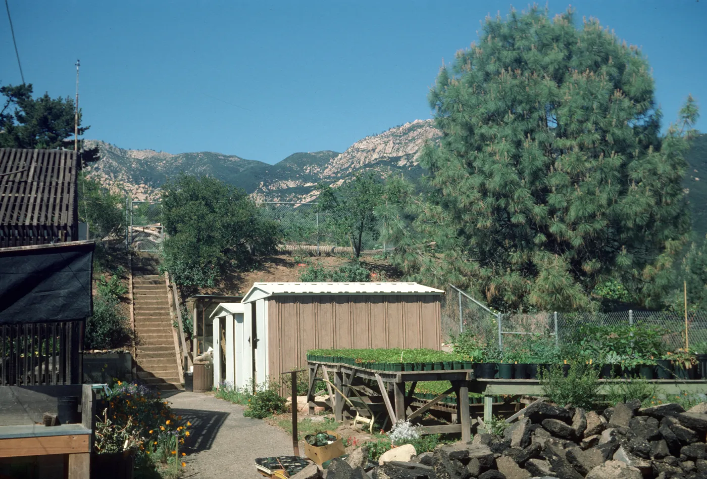 Construction: can yard resurfacing
