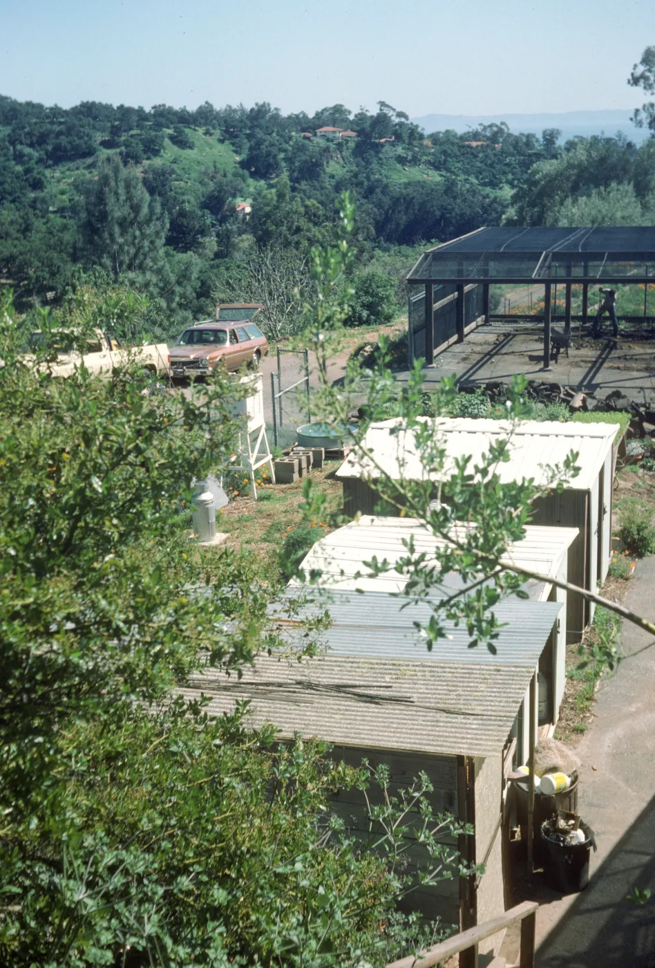 Nursery view from North gate