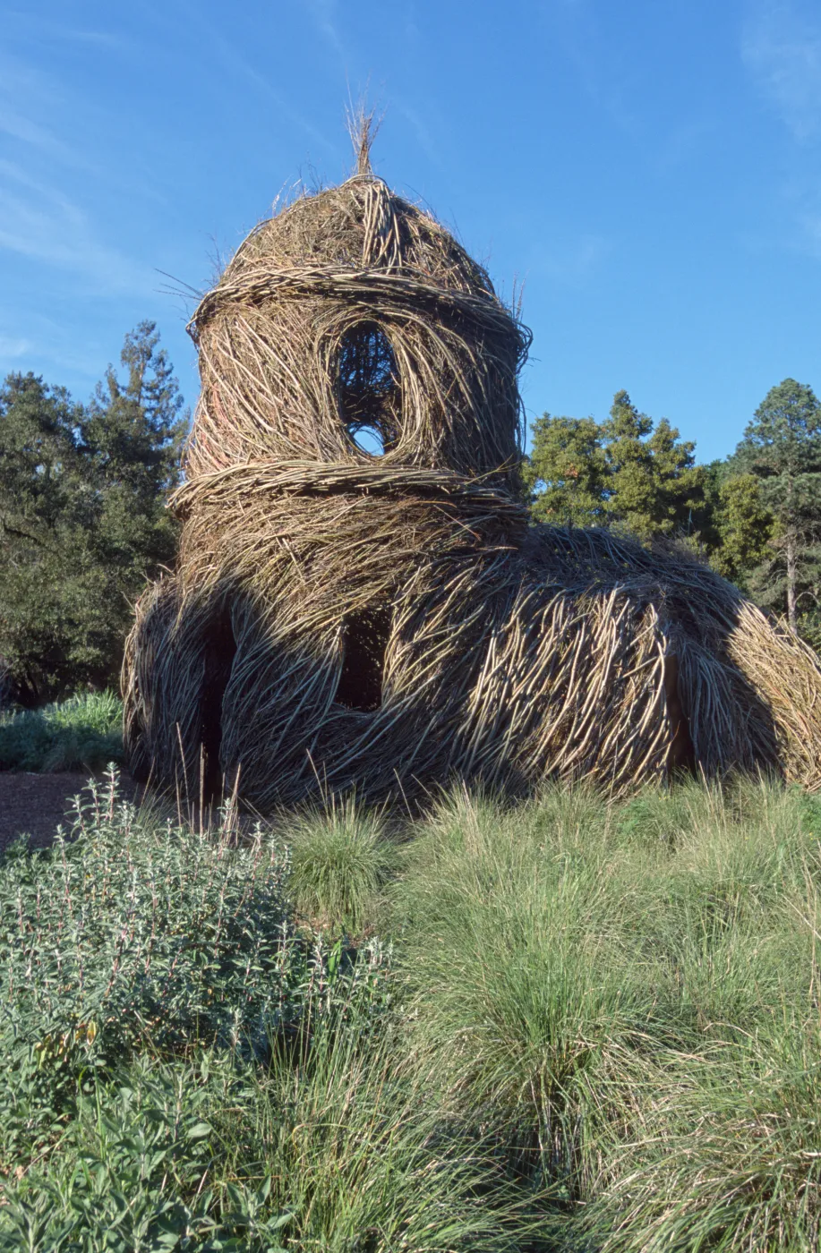 Toad Hall