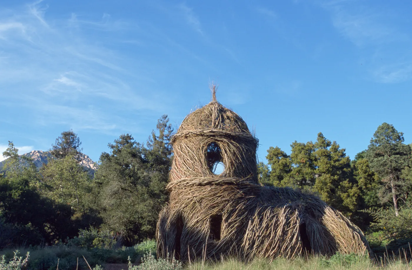 Toad Hall