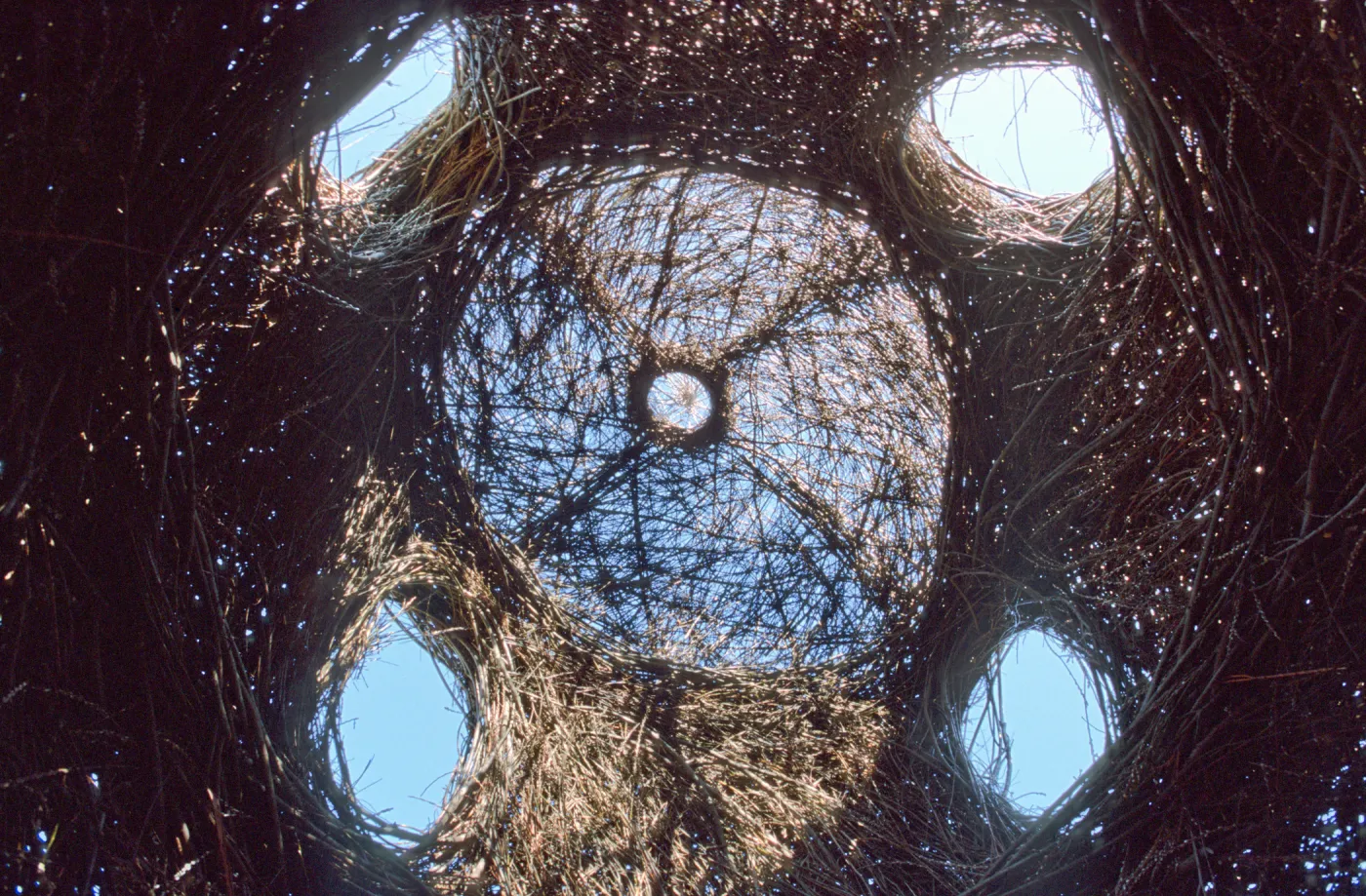 Toad Hall, interior, skylight