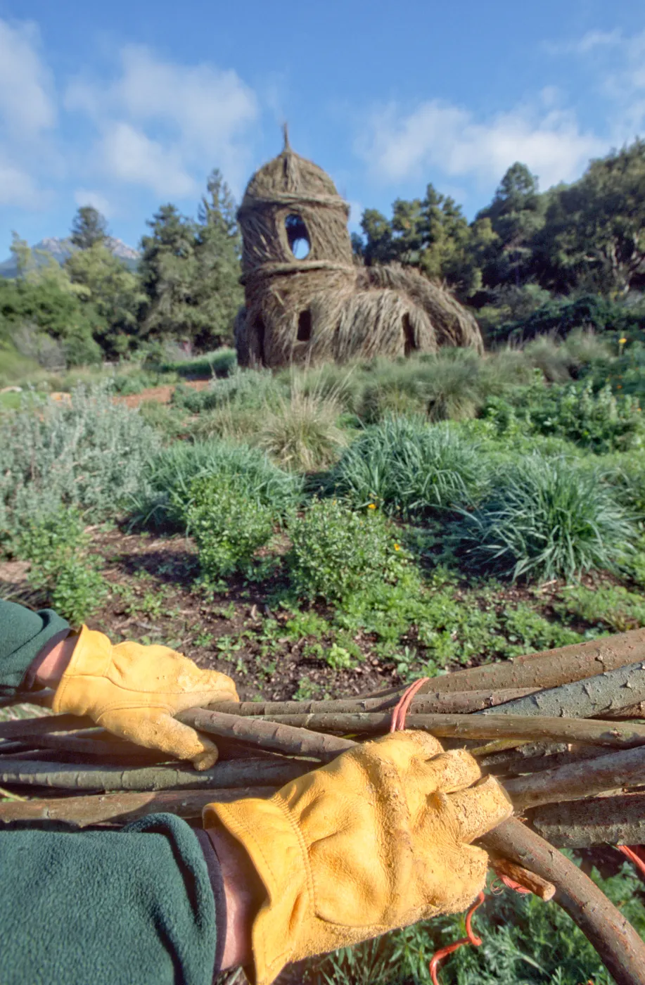 Toad Hall