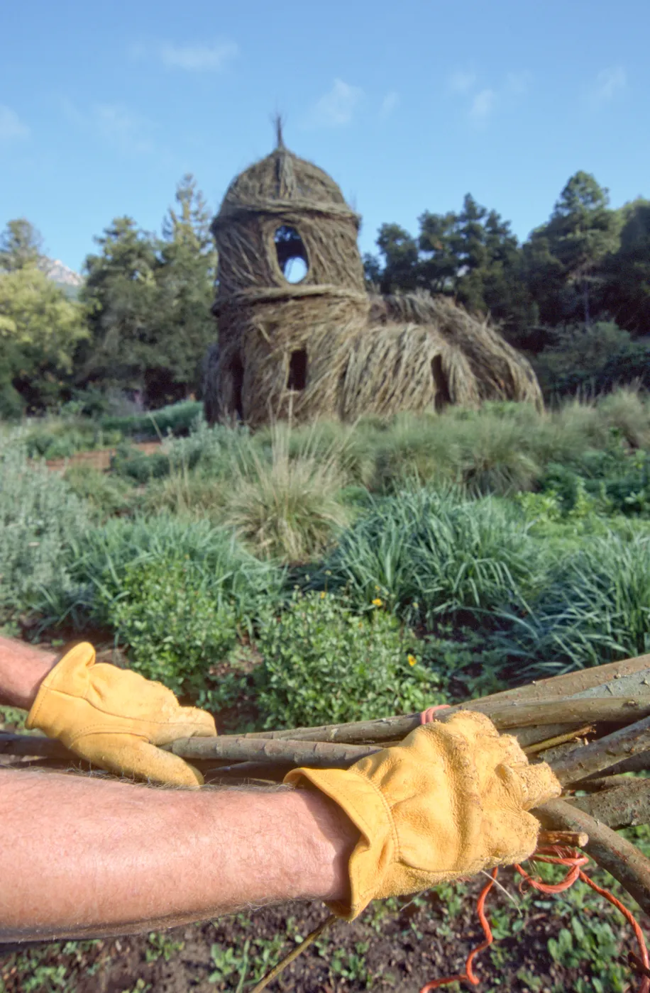 Toad Hall