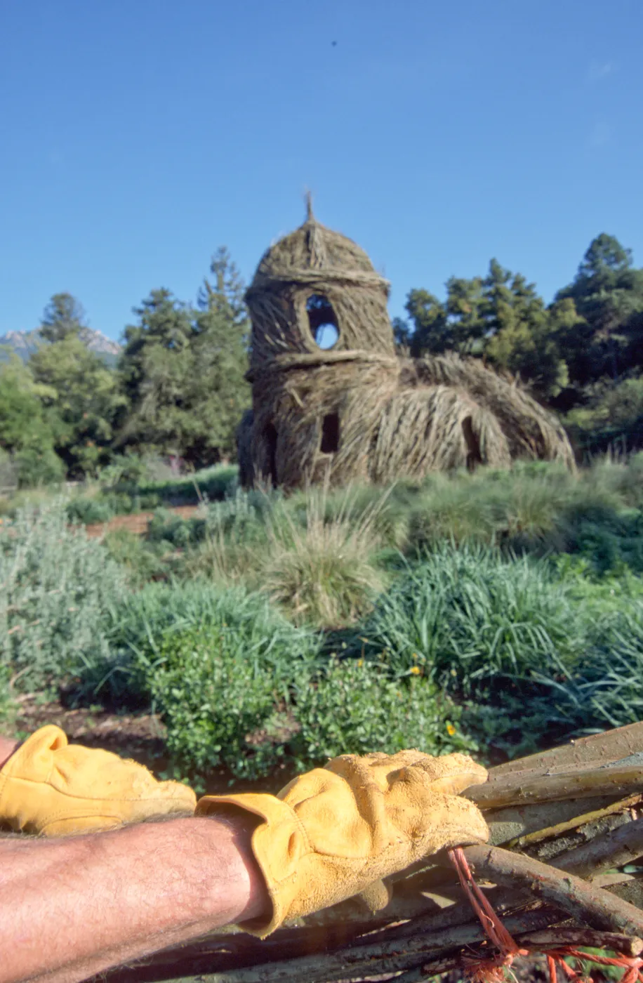 Toad Hall