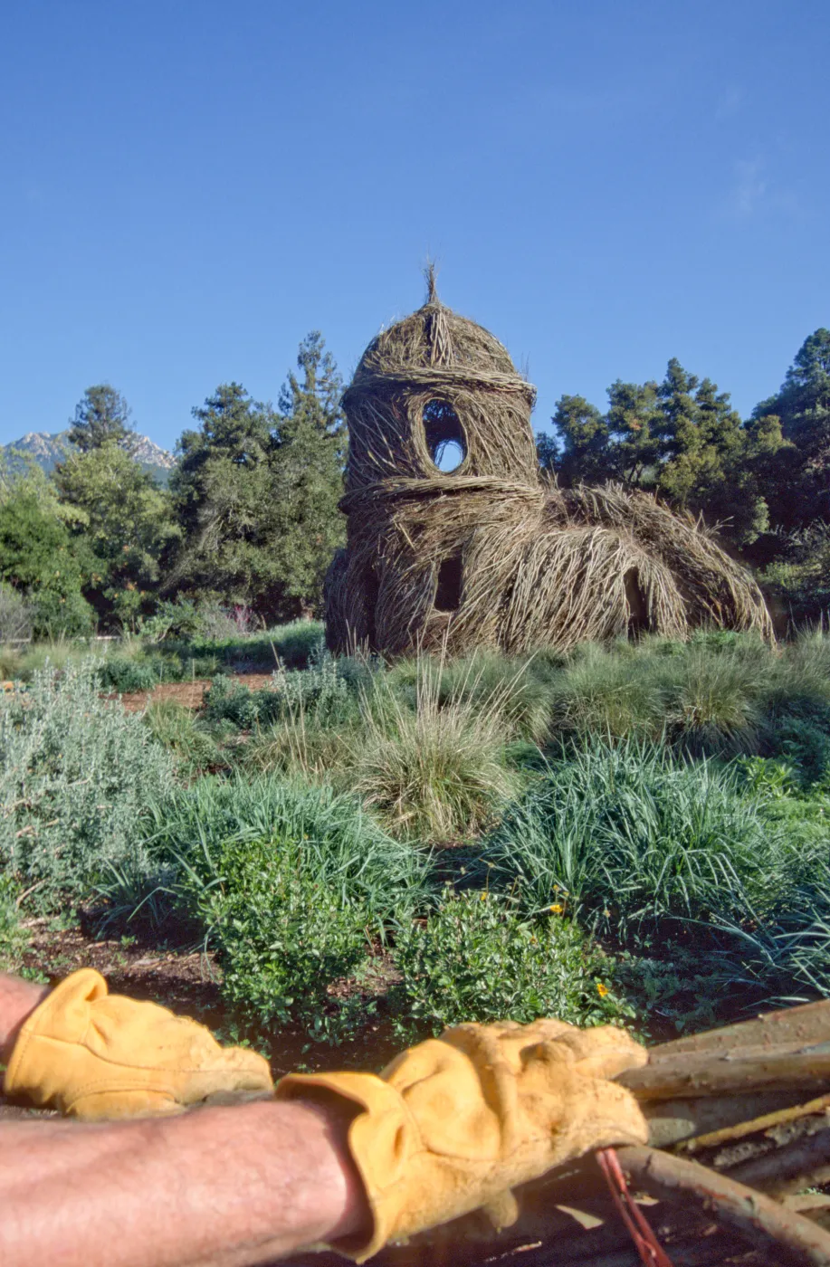 Toad Hall